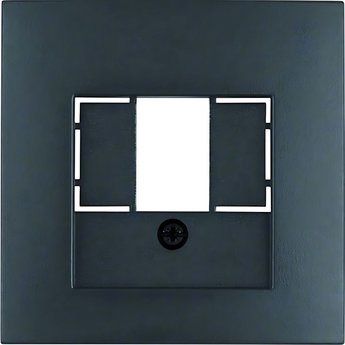 Berker Zentralstück 10331606