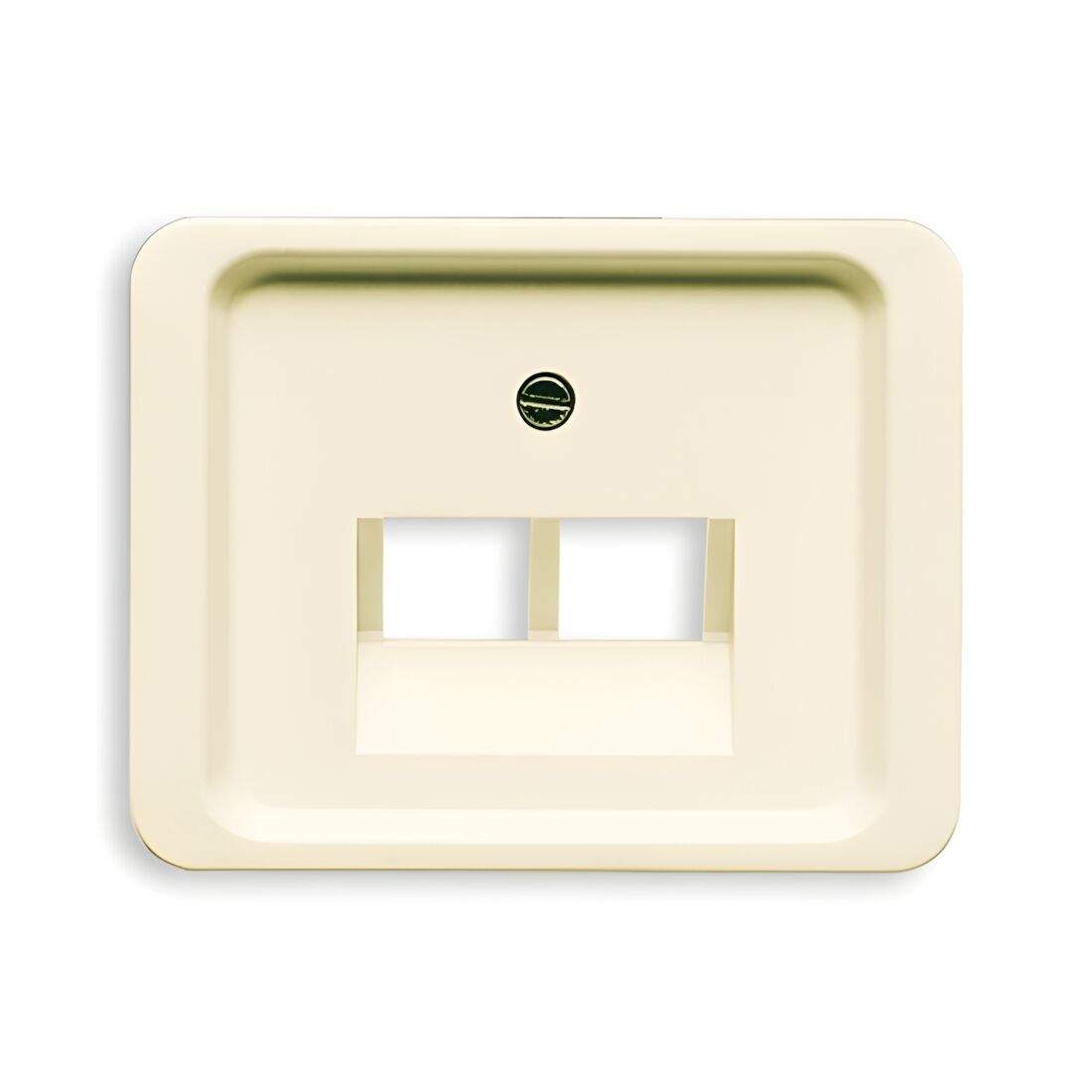 Busch-Jaeger Zentralscheibe 1803-02-22G Nr. 2CKA001710A2611