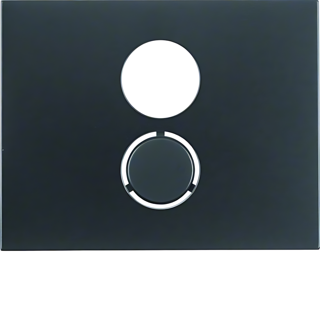 Berker Zentralstück 11847006 