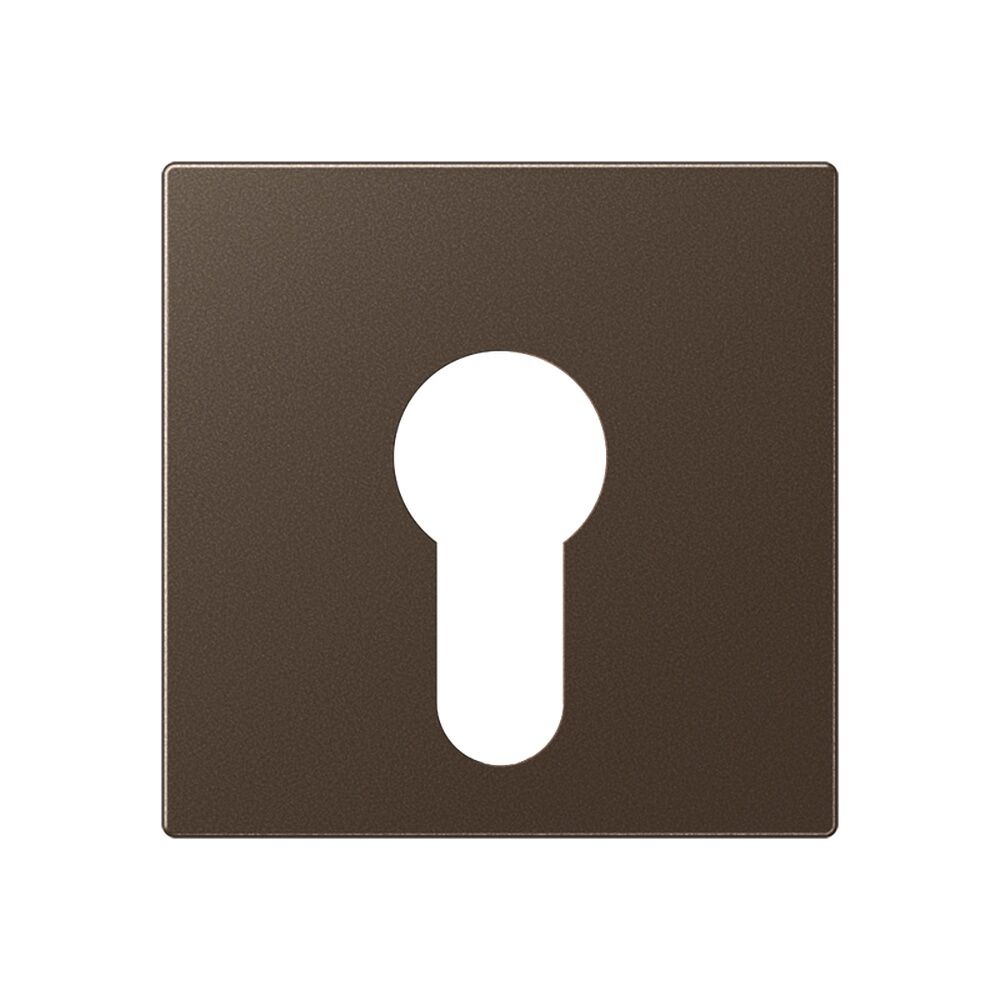 Jung Abdeckung Schlüsselschalter A 525 PL MO