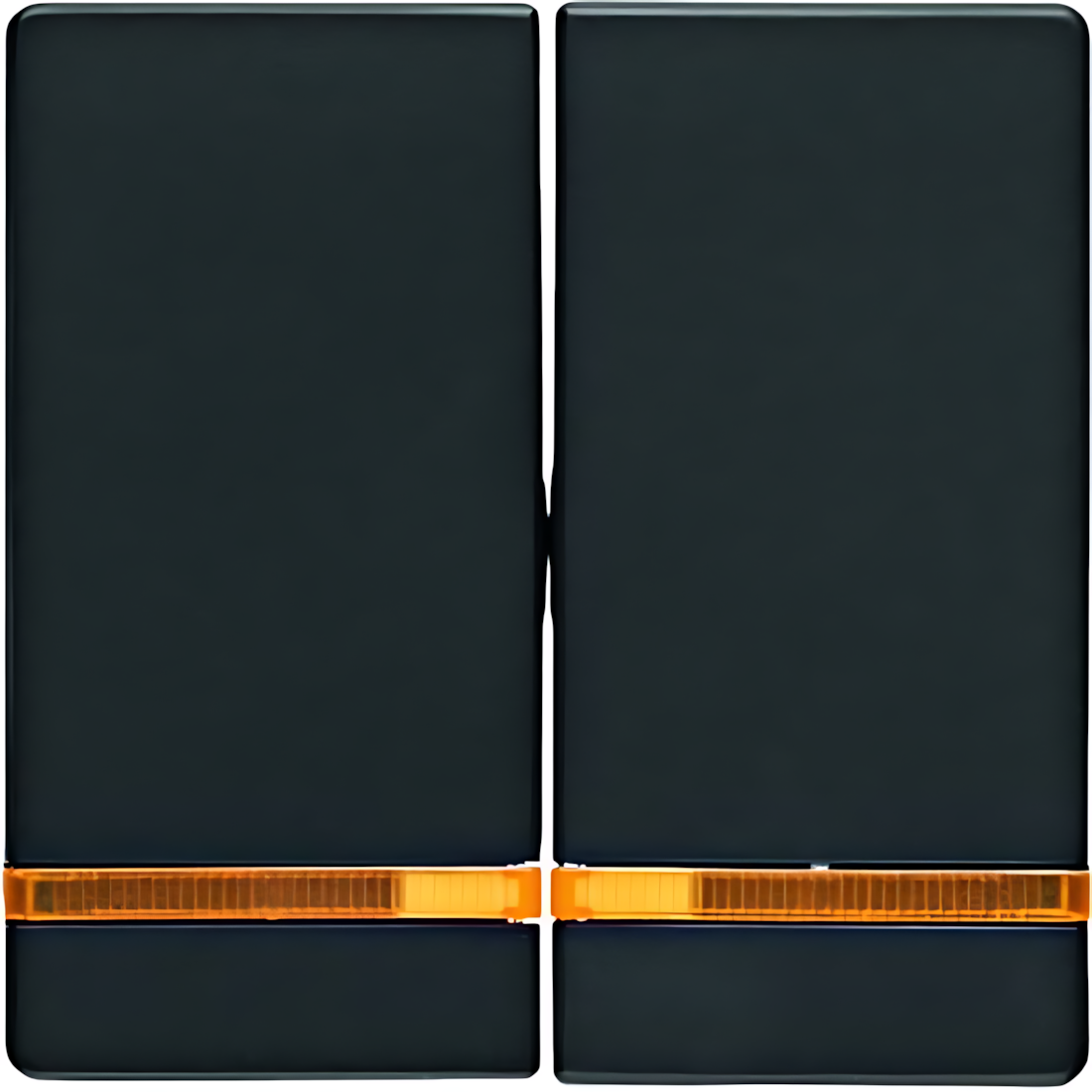 Berker Wippen 16276086 