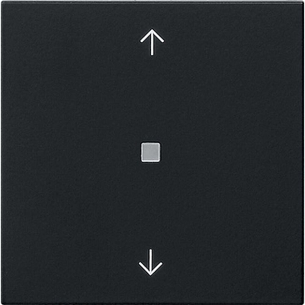 Gira eNet Funk Bedienaufsatz 5494005