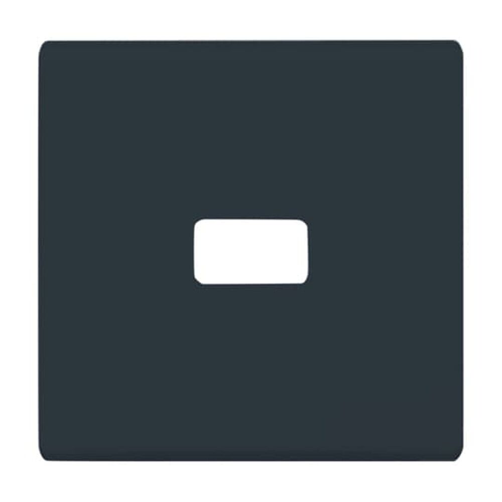 Busch-Jaeger Wippe 2120-35 Nr. 2CKA001731A1700