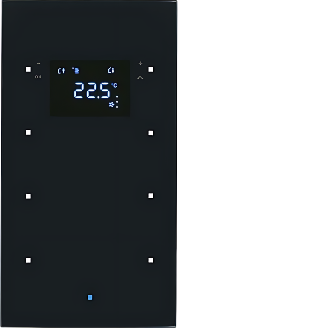 Berker Glas Sensor 75643035 