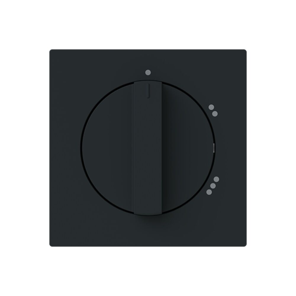 Busch-Jaeger Zentralscheibe 2542 DR/02-45M Typ 2CKA001710A4156