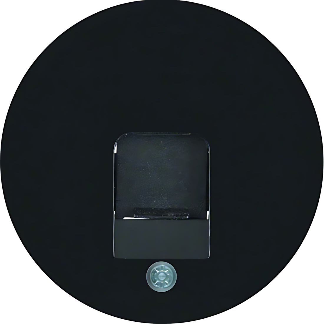 Berker Zentralstück 11702045