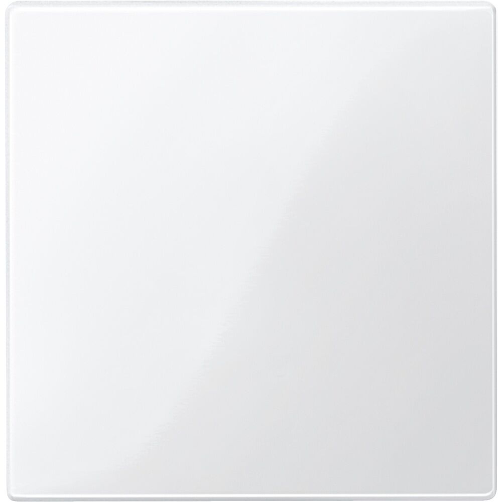 Merten Zentralplatte 450019