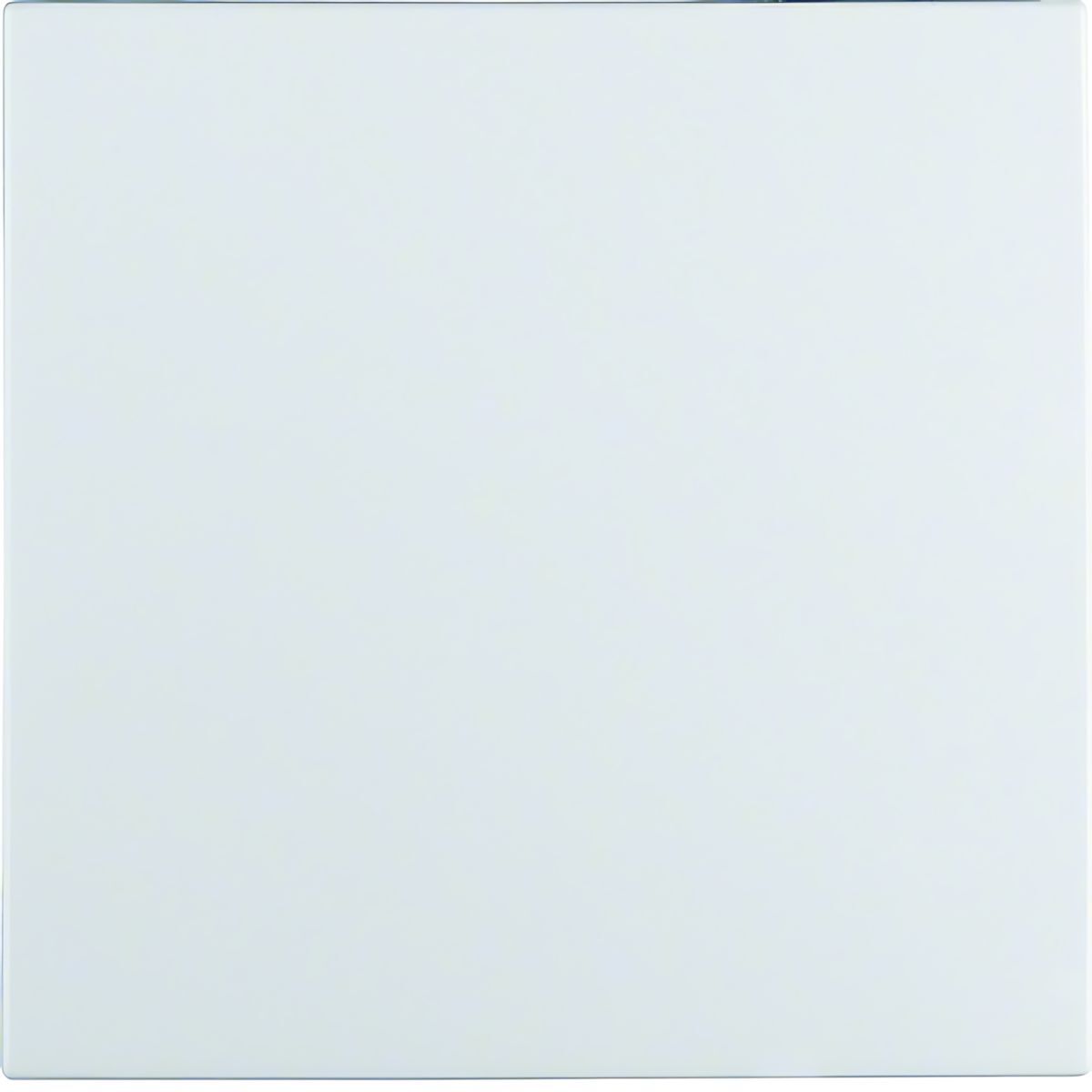 Berker Wippe 16291909