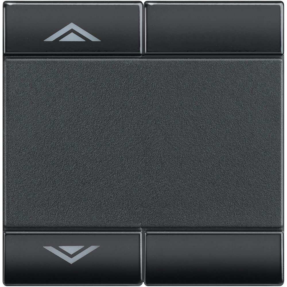 Bticino Wippe L4911M2AHN