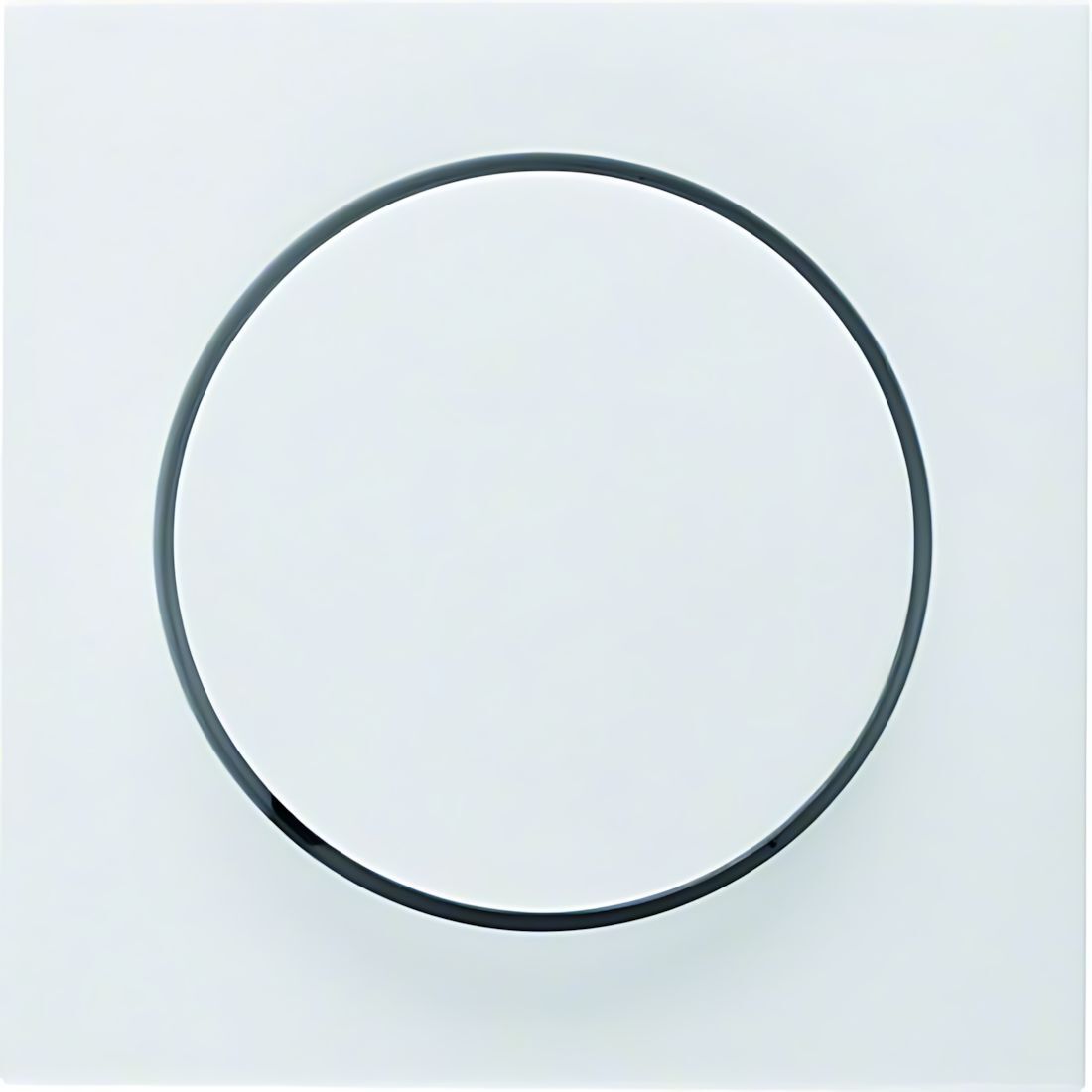 Berker Zentralstück 11378989