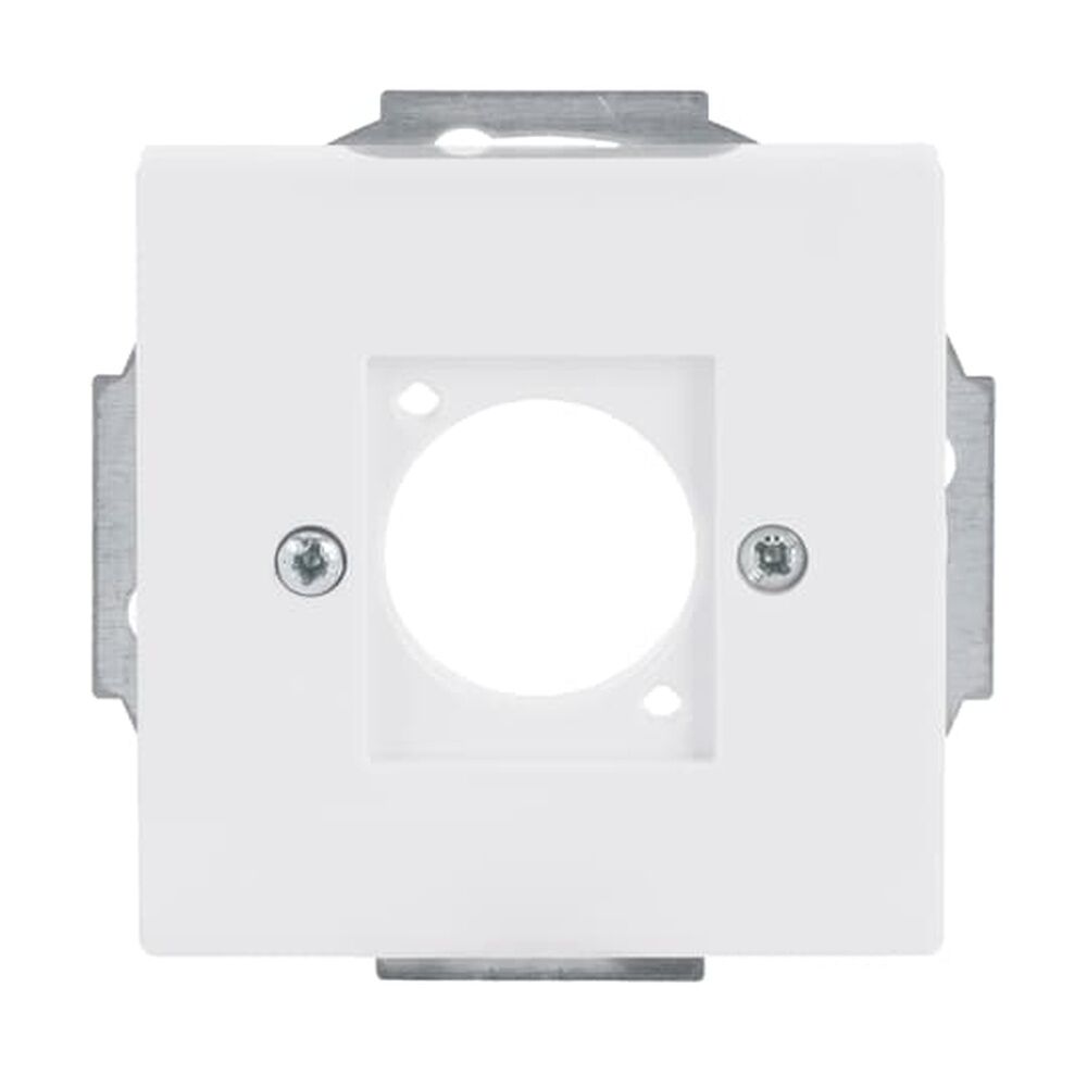 Busch-Jaeger XLR Zentralscheibe 2553-84 Nr. 2CKA001724A4402