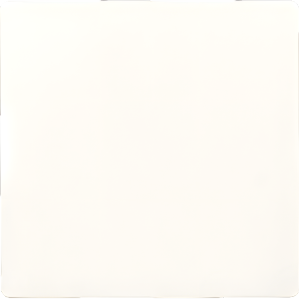 ELTAKO Wippe Funktaster 30055972 Typ W-F2T55E/10-pg