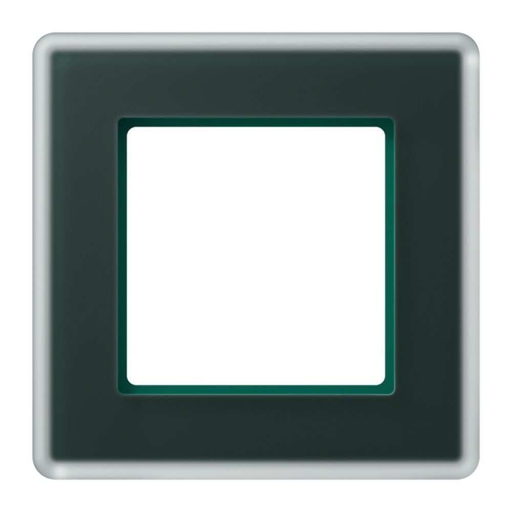 Jung Glasrahmen AV581GLMSG