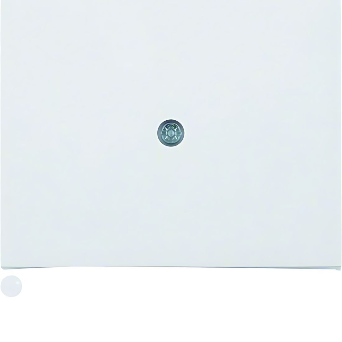 Berker Zentralstück 10057009 