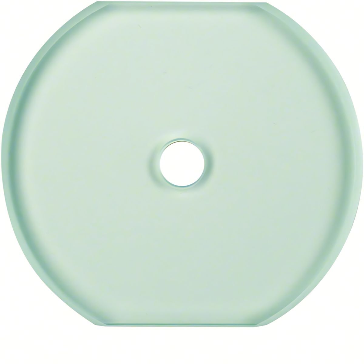 Berker Glas Mittelplatte 109530 
