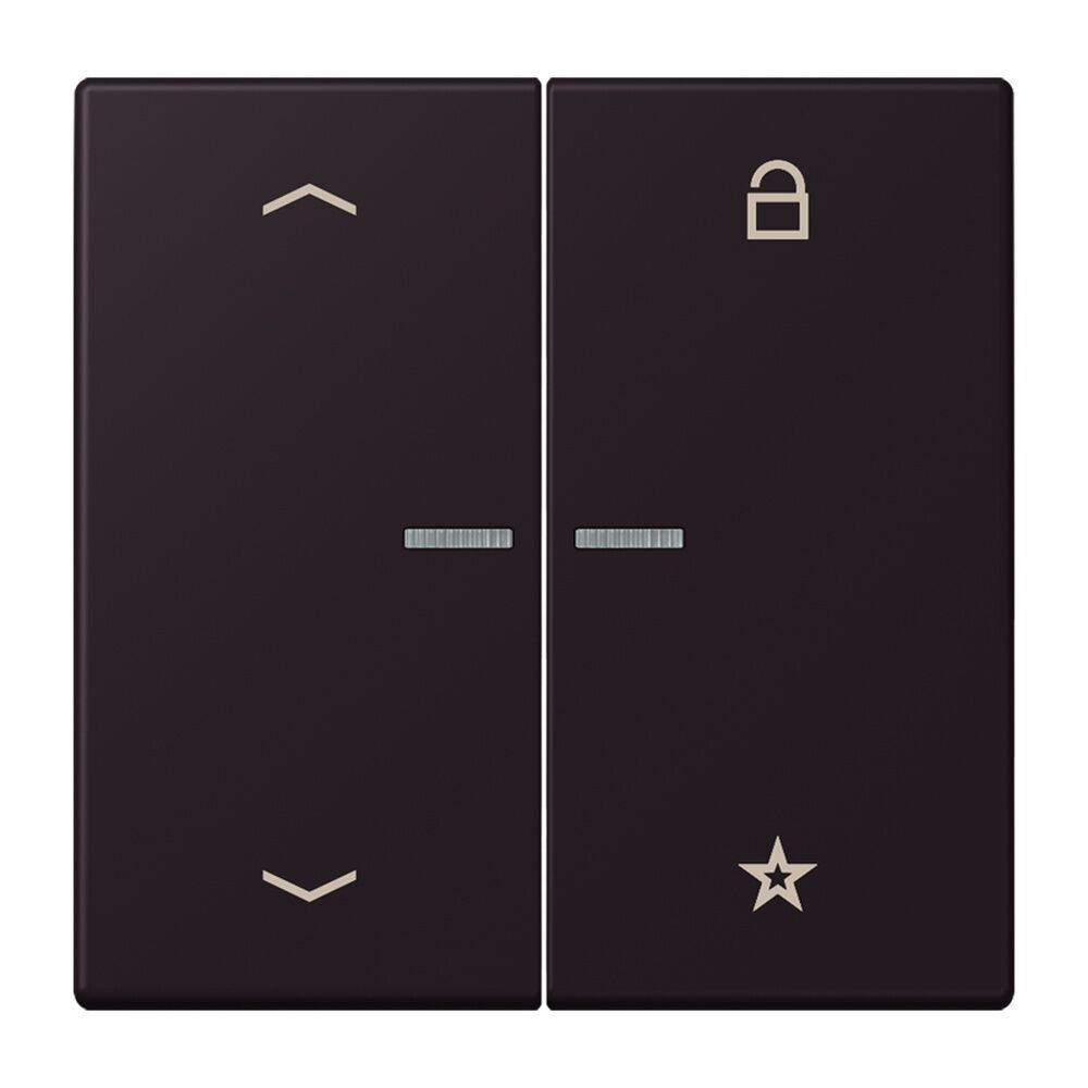 Jung Taster FMLC1701P248