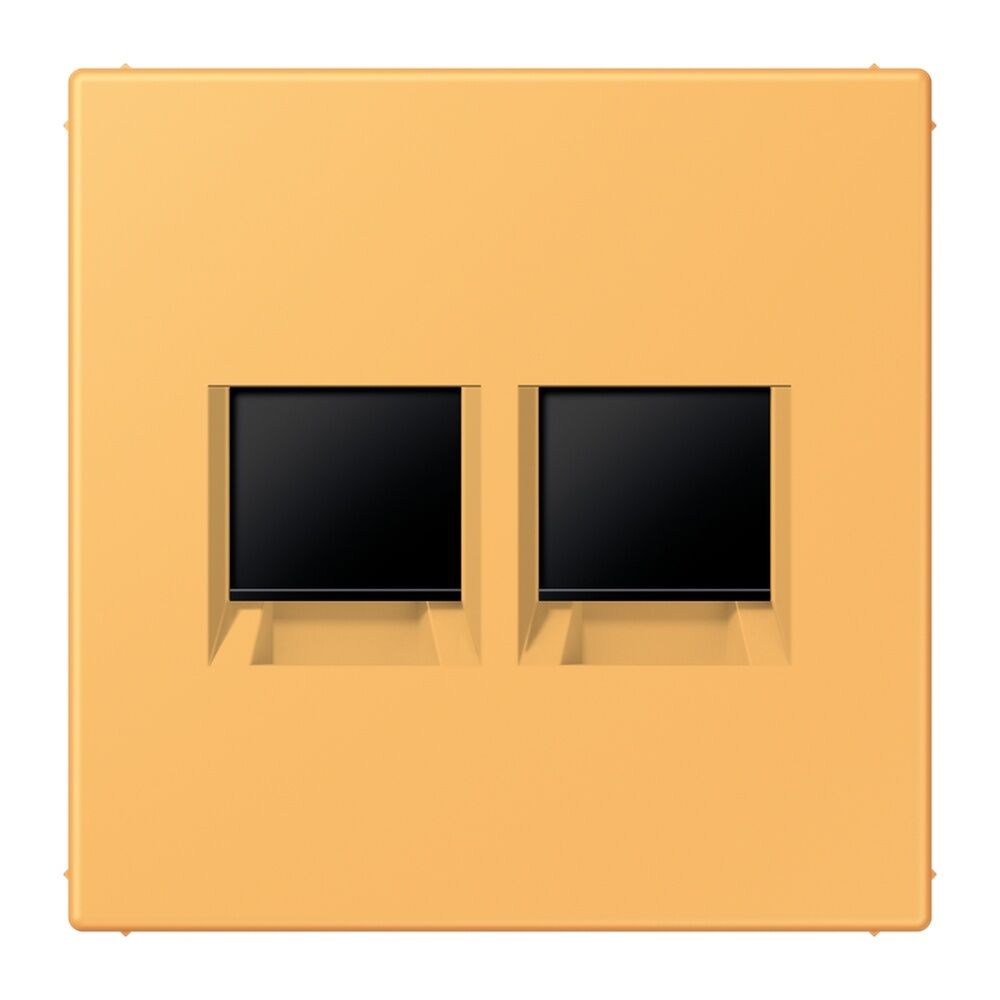 Jung Abdeckung LC1969-2WE254