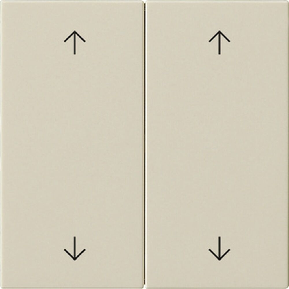 Gira Wippe 2fach 538701