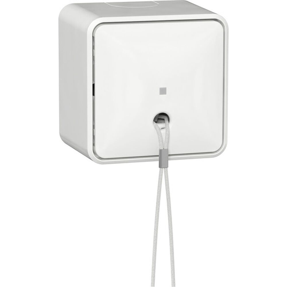 Gira Zugschalter 314613