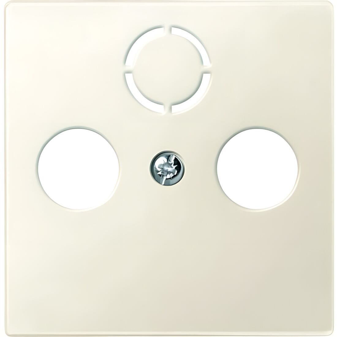 Merten Zentralplatte 297544