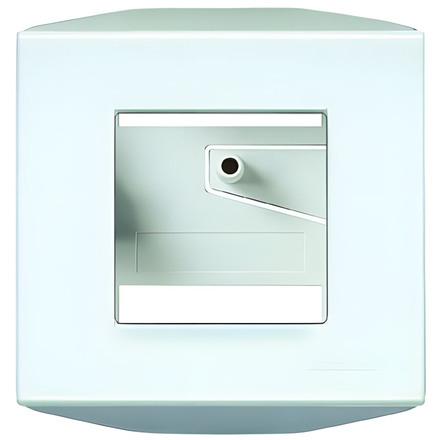 Bticino AP Eckdose 502PA