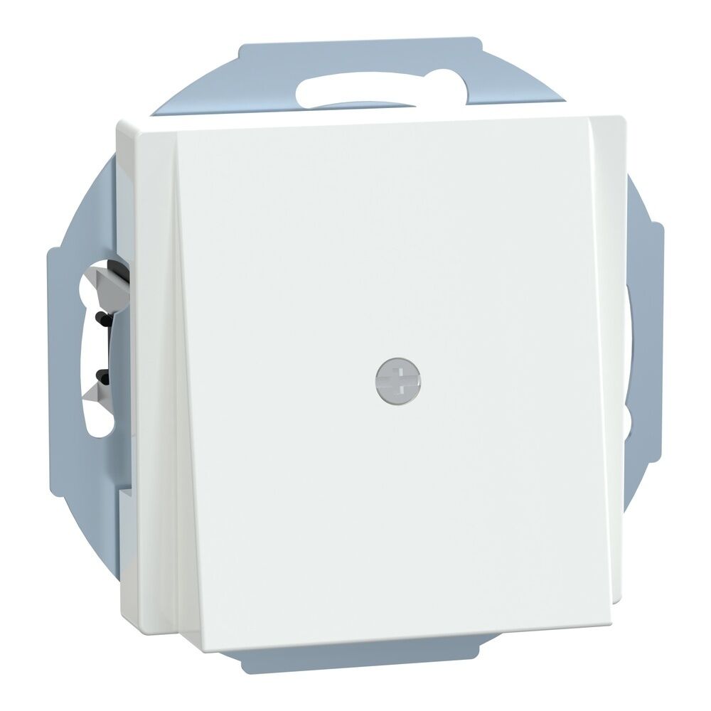 Merten Zentralplatte 296325