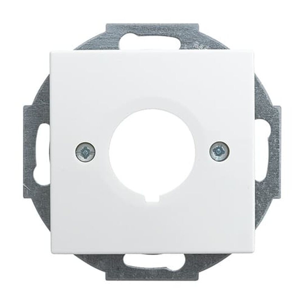 Busch-Jaeger Zentralscheibe 2533-914 Nr. 2CKA001724A4344