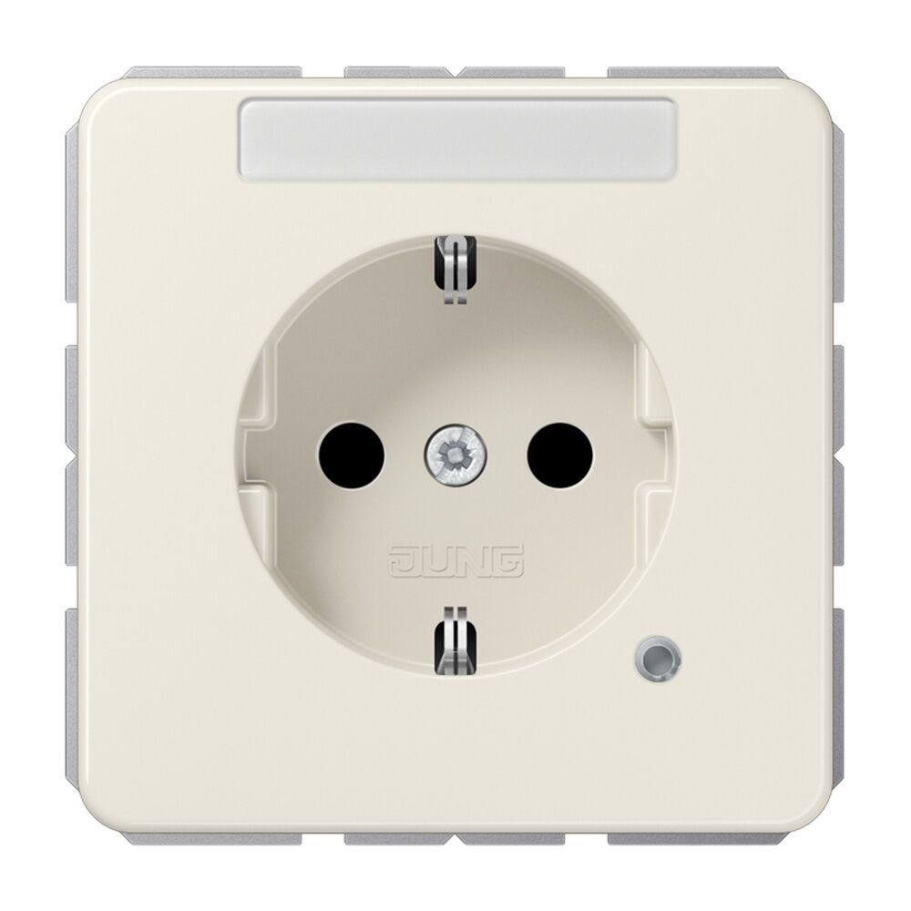Jung Schutzkontakt Steckdose CD 1520 BFNAKO