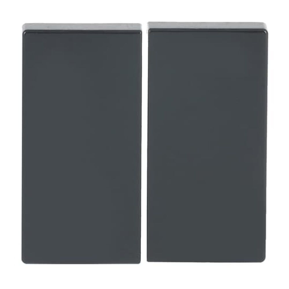 Busch-Jaeger Wippe 6736 FoH-81 Nr. 2CKA006730A0133 