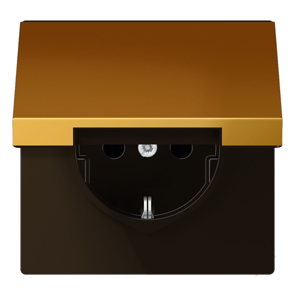 Jung Schutzkontakt Steckdose GO 1520 KL 