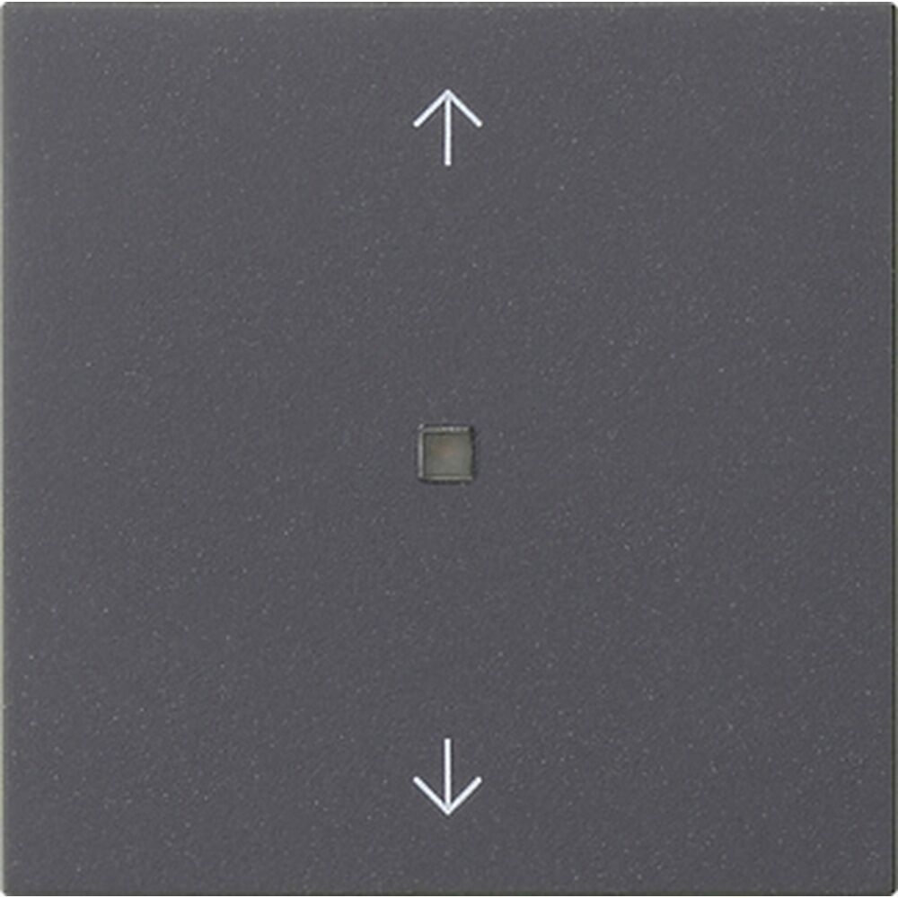 Gira eNet Funk Bedienaufsatz 549428