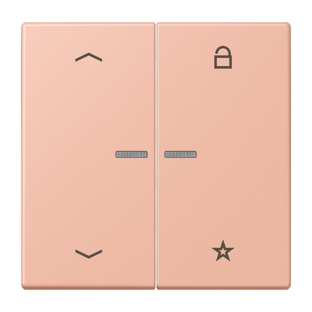 Jung Taster FMLC1701P231