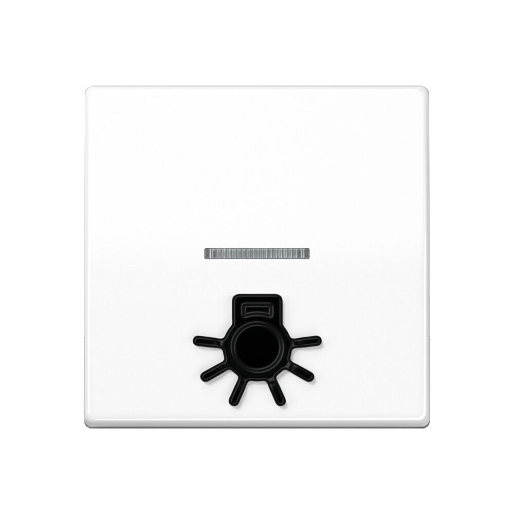 Jung Wippe AS 591 L1KO5 WW