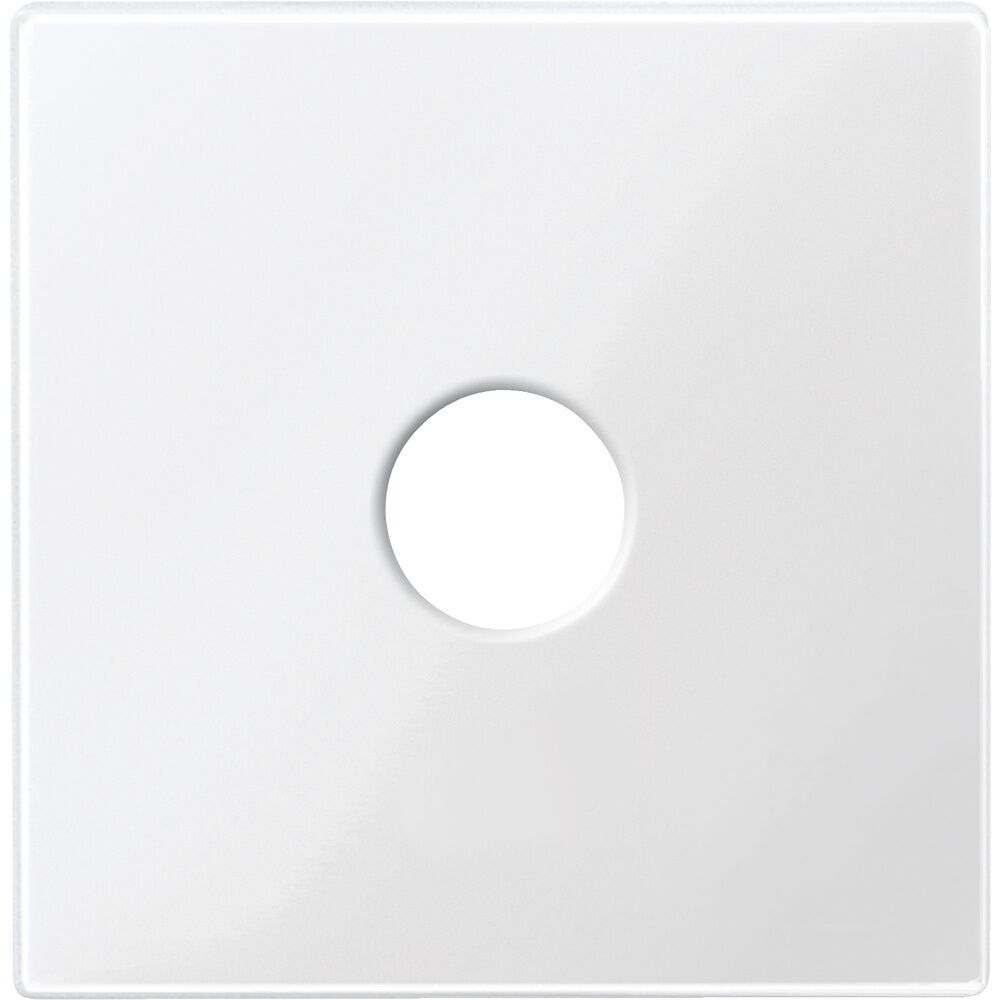 Merten Zentralplatte 451819