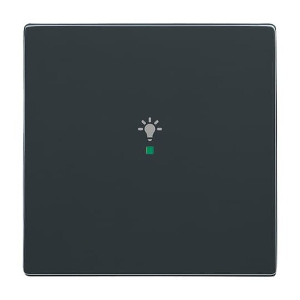 Busch-Jaeger Wippe 6231-10-81 Nr. 2CKA006220A0035