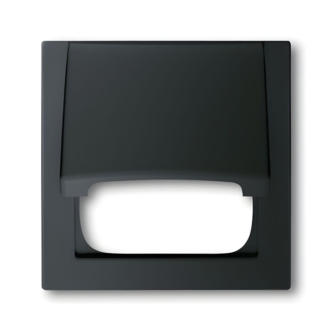 Busch-Jaeger Zentralscheibe 1746-775 Nr. 2CKA001753A0142