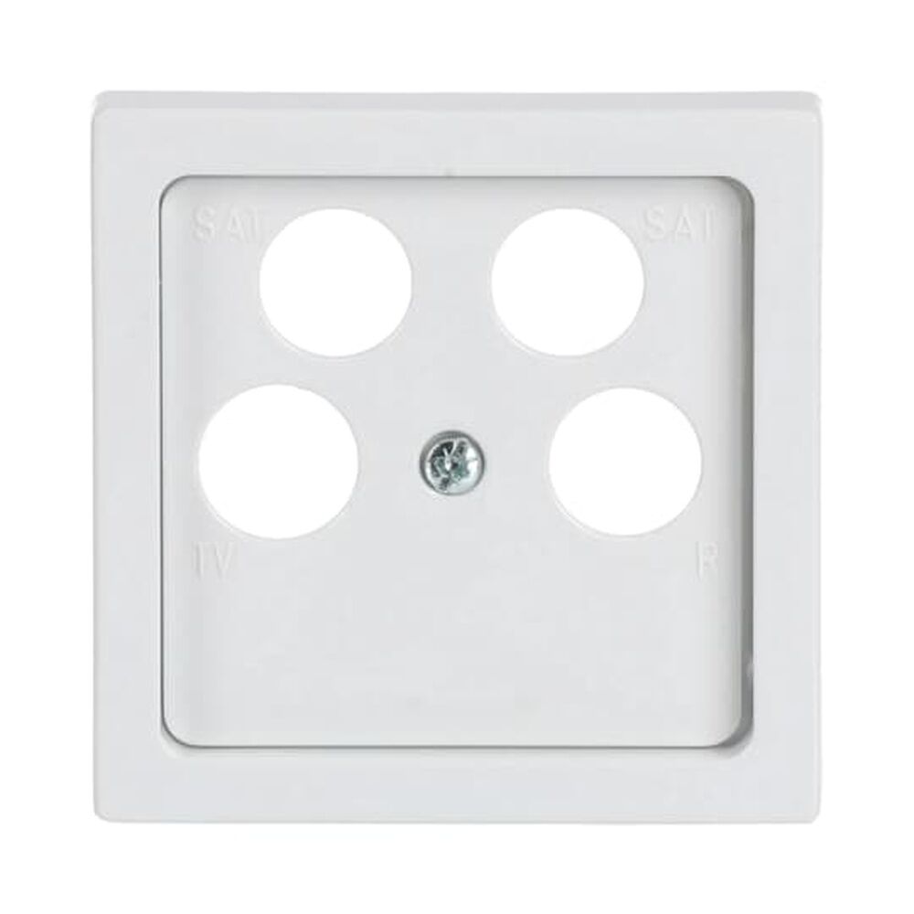 Busch-Jaeger Zentralscheibe 1743/10-04-84 Nr. 2CKA001724A4368 