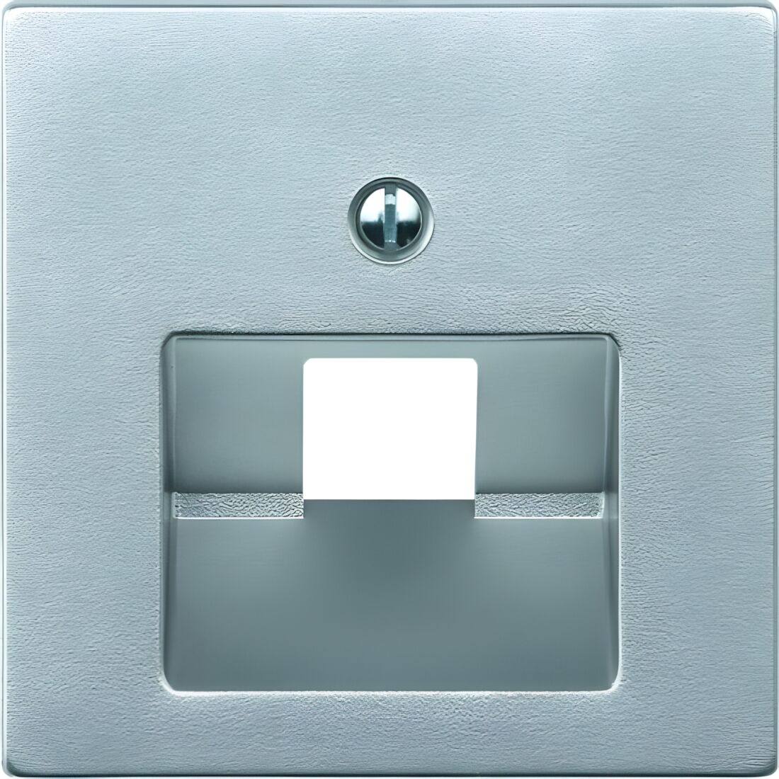 Merten Zentralplatte 298360