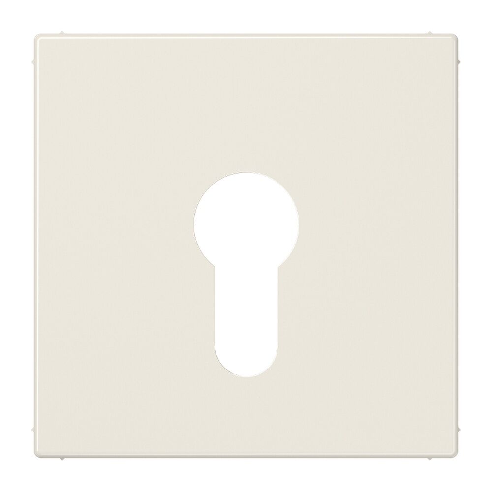 Jung Abdeckung Schlüsselschalter LS 925