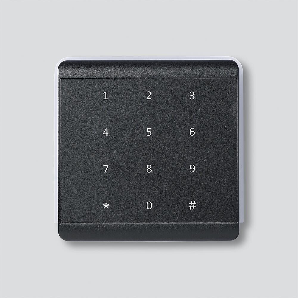 Siedle Leser mit Pin Pad 210013297-00 Typ SE 1090 DKT