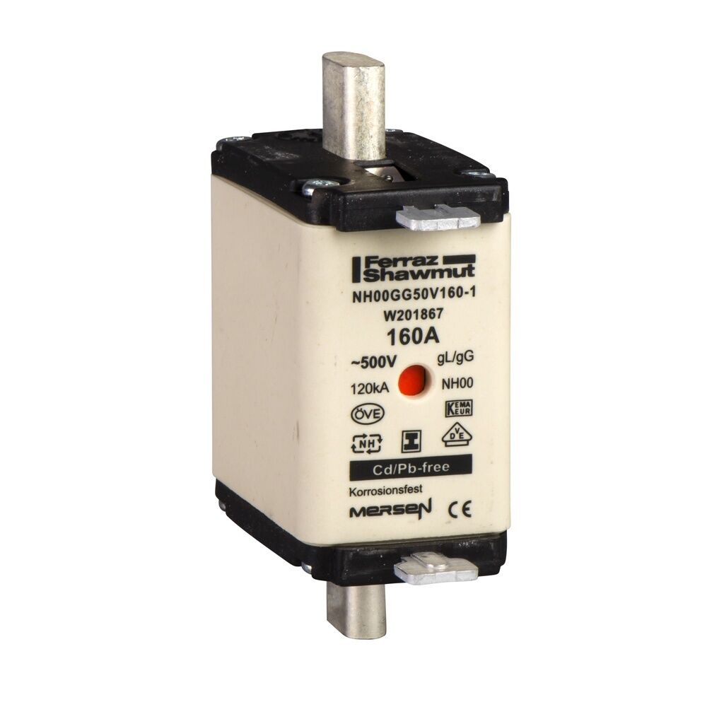 Schneider Electric Sicherung DF2HN1251