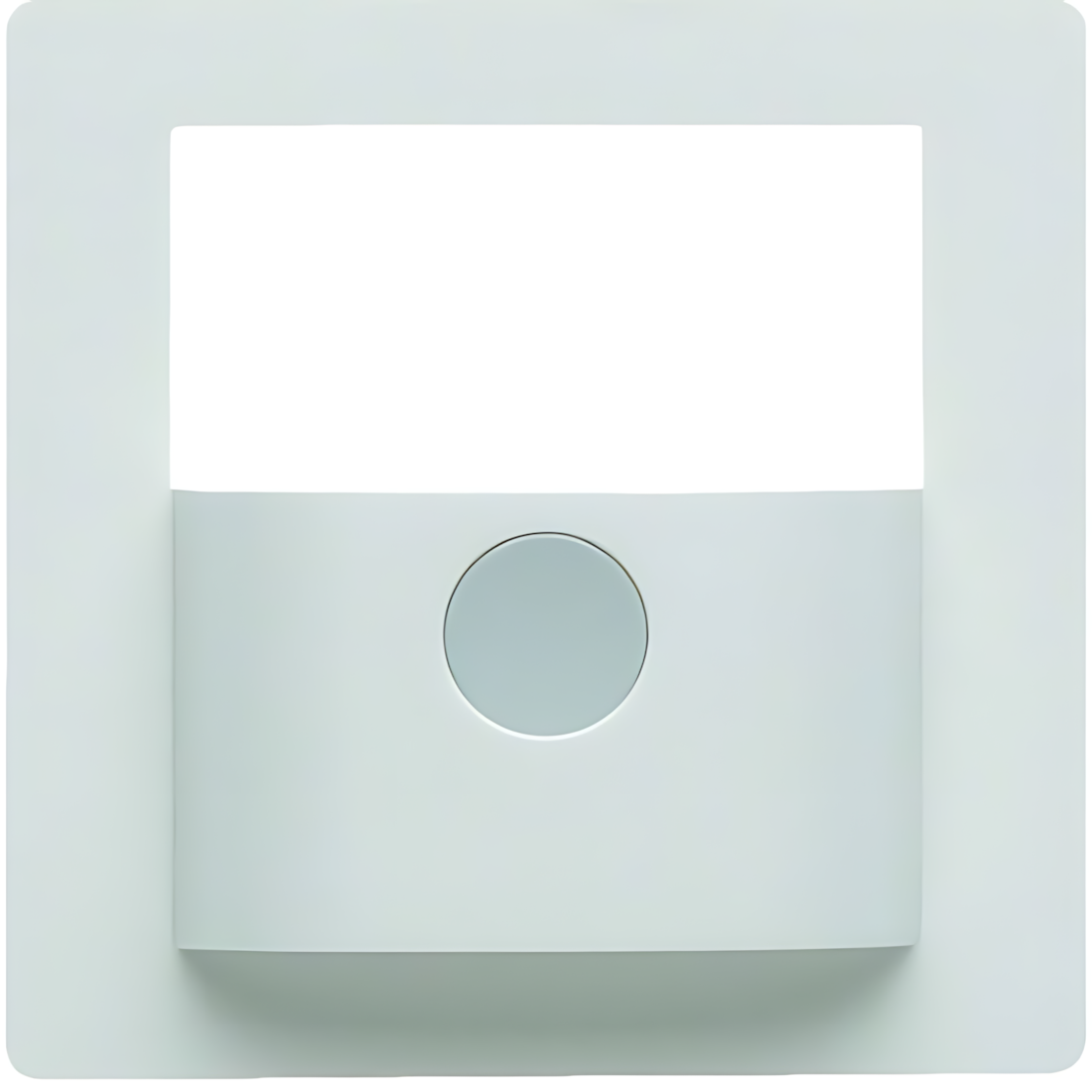 Berker Abdeckung 80960429 