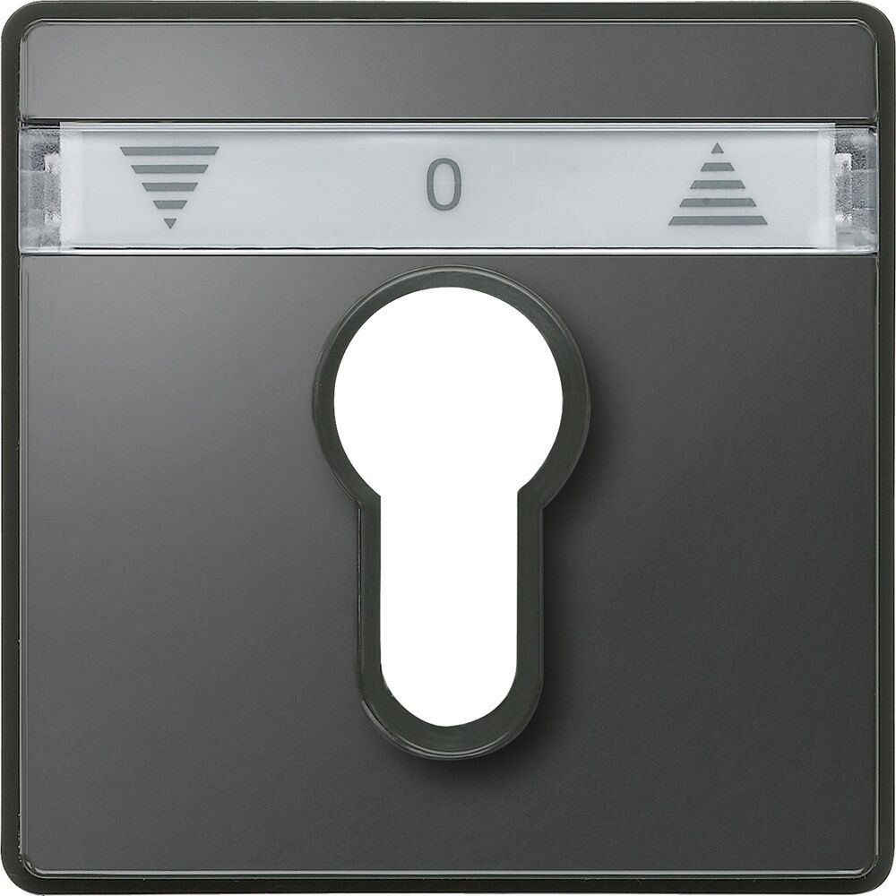 Merten Zentralplatte 348214