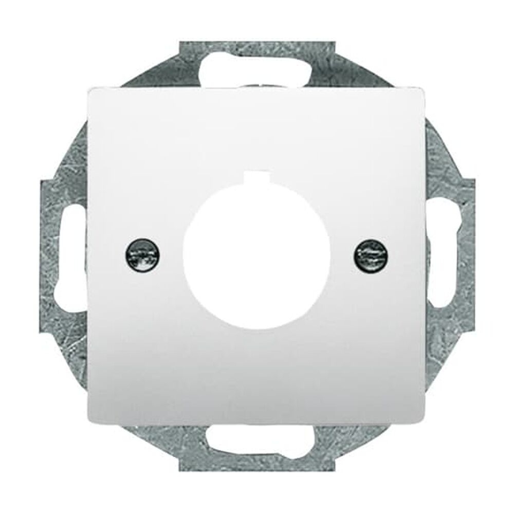 Busch-Jaeger Zentralscheibe 2533-866 Nr. 2CKA001724A4270