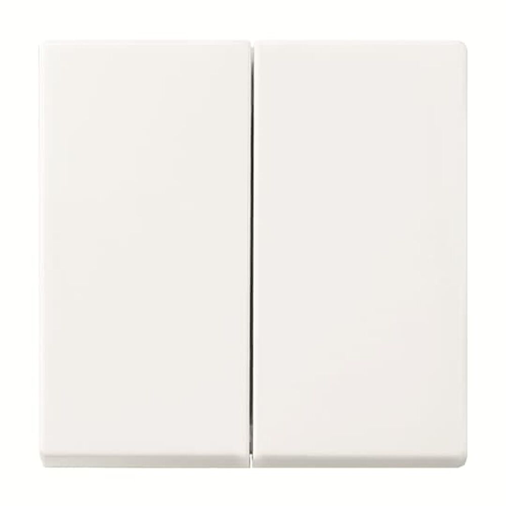 Busch-Jaeger Wippe 2fach FoH 6736 FoH-914 Nr. 2CKA006730A0152 