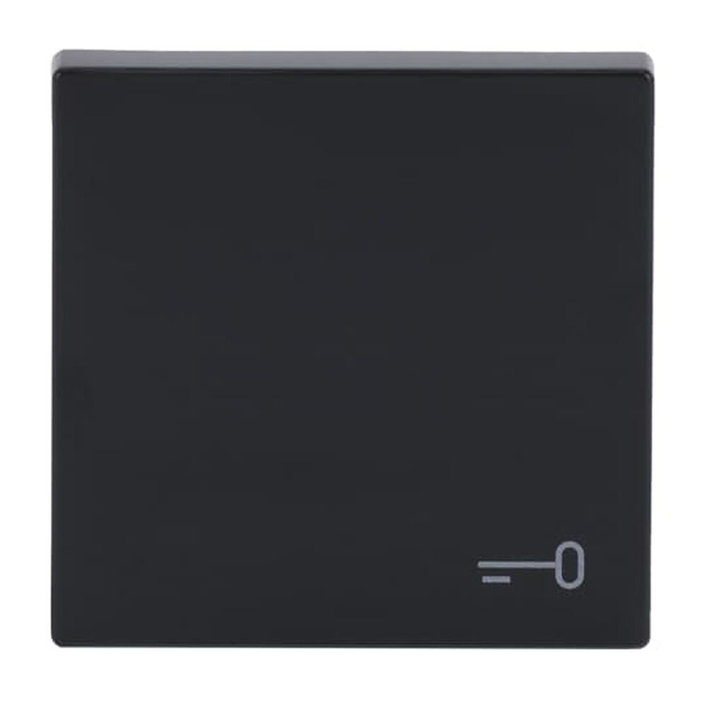 Busch-Jaeger Wippe 2520 TR-81 Nr. 2CKA001751A3196