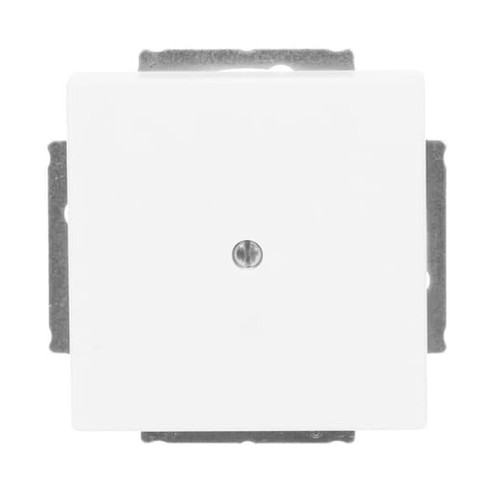 Busch-Jaeger Blindzentralscheibe 1742-884 Nr. 2CKA001710A3873 