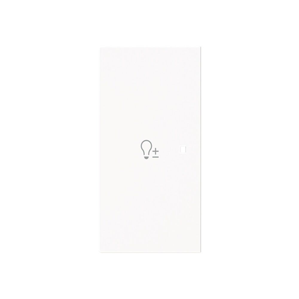 Busch-Jaeger Wippe 6234-21-44M Typ 2CKA006220A0957 