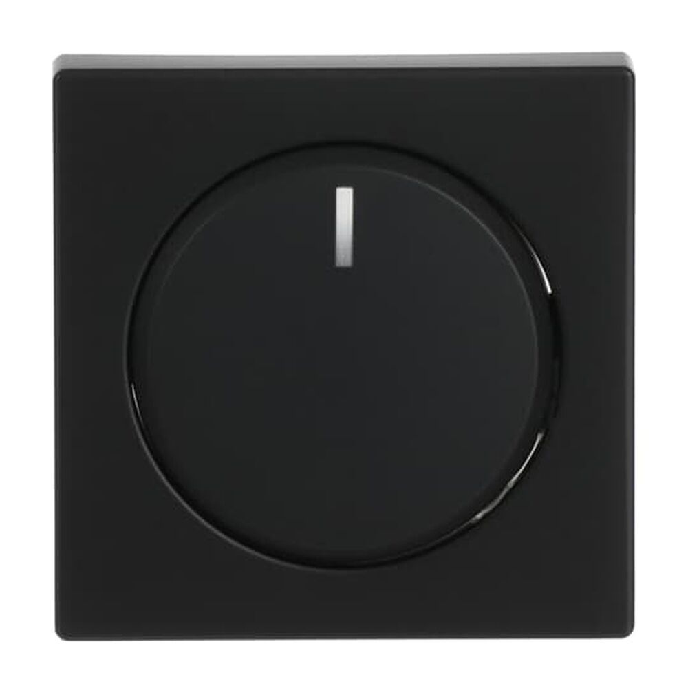 Busch-Jaeger Zentralscheibe 6540-885-102 Nr. 2CKA006599A2966