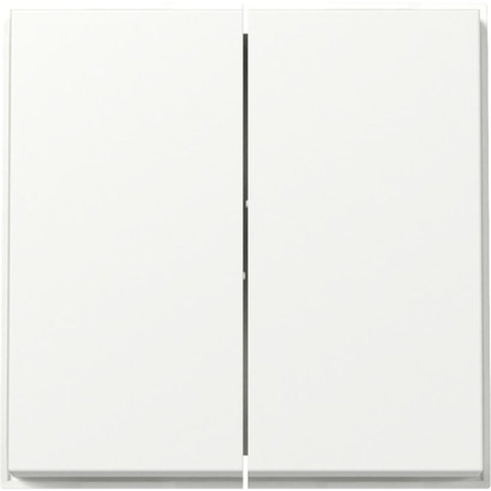 Gira Wippe 2fach 329566